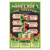 Minecraft, Maxi Poster - Creepy Behaviour